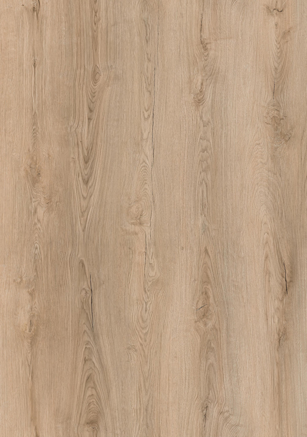 Sol SPC clipsable effet chêne naturel clair CAMBRIDGE 6,5 mm IXPE intégrée LIMCARO