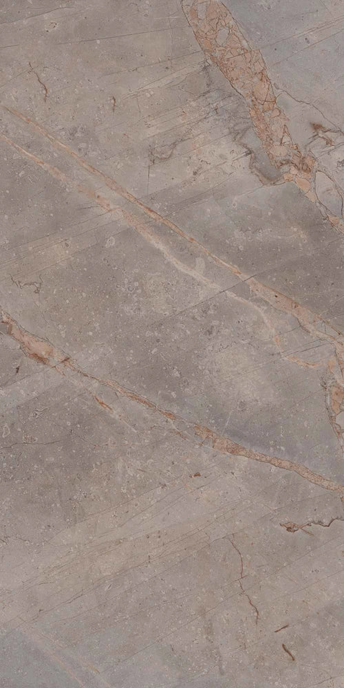 Carrelage sol / mur effet marbre VIVALDI VISON l.60 x L.120 cm Brillant LIMCARO