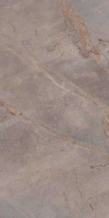 Carrelage sol / mur effet marbre VIVALDI VISON l.60 x L.120 cm Brillant LIMCARO