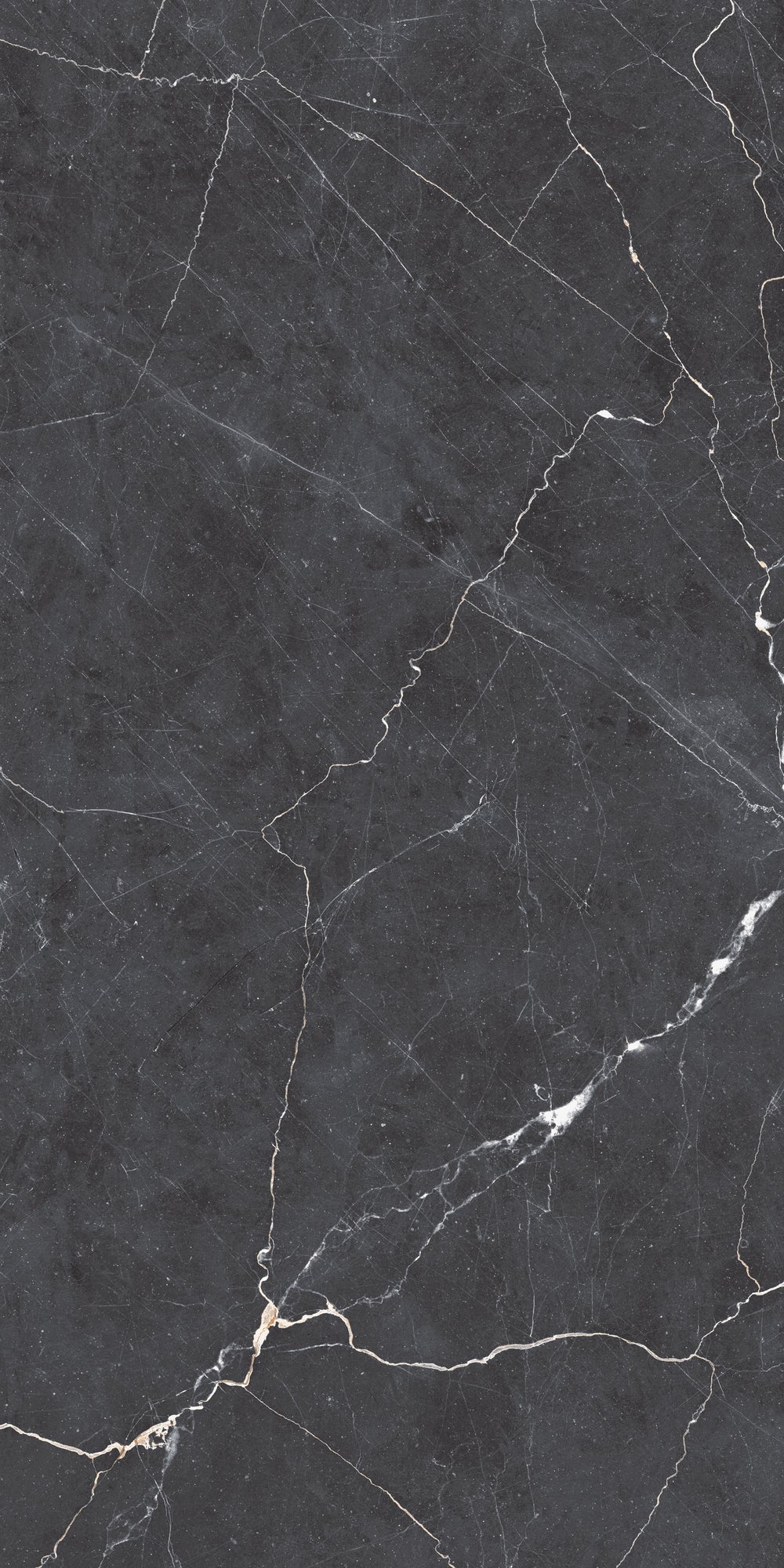 Carrelage sol / mur effet marbre DRAPE NERO  l.60 x L.120 cm Mat LIMCARO