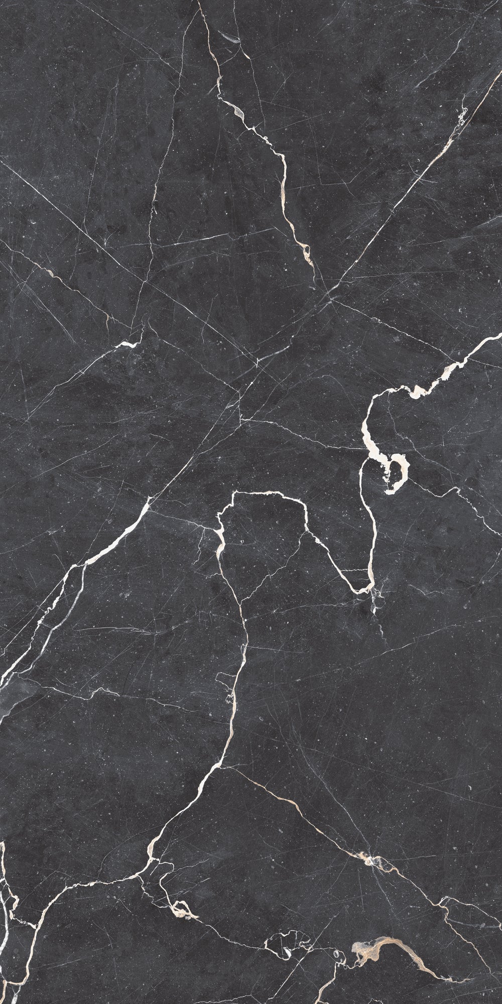 Carrelage sol / mur effet marbre DRAPE NERO  l.60 x L.120 cm Mat LIMCARO