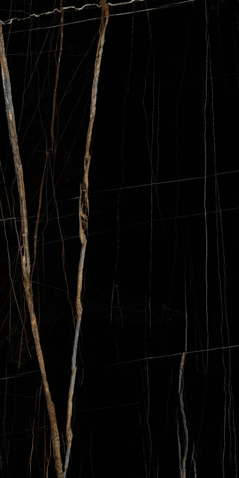 Carrelage sol / mur effet marbre ELEGANCE BLACK l.60 x L.120 cm Brillant LIMCARO