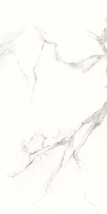 Carrelage sol / mur effet marbre ROME STATUARIO l.60 x L.120 cm  Brillant LIMCARO