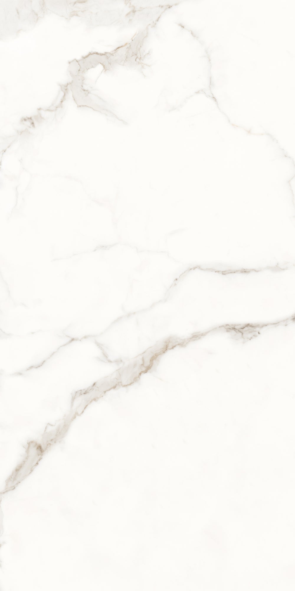 Carrelage sol / mur effet marbre ROME STATUARIO l.60 x L.120 cm  Brillant LIMCARO