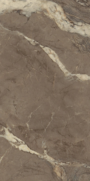 Carrelage sol / mur effet marbre BERRY BROWN l.60 x L.120 cm Brillant LIMCARO