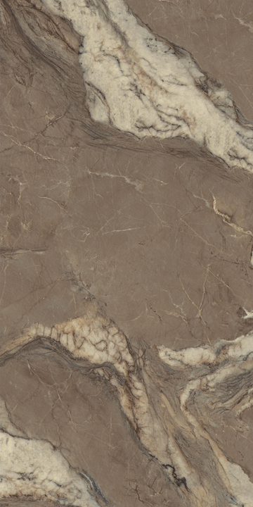 Carrelage sol / mur effet marbre BERRY BROWN l.60 x L.120 cm LIMCARO