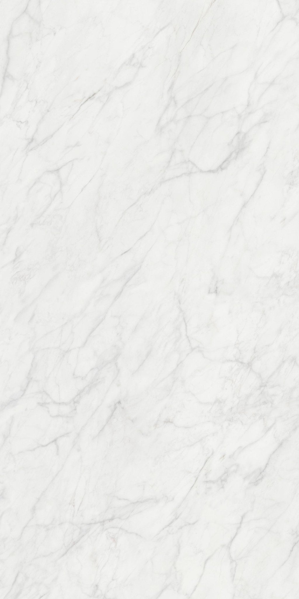 Carrelage CALACATTA CALDIA l.160 X L.320 X 0.6 cm MAT LIMCARO - LIMCARO FRANCE