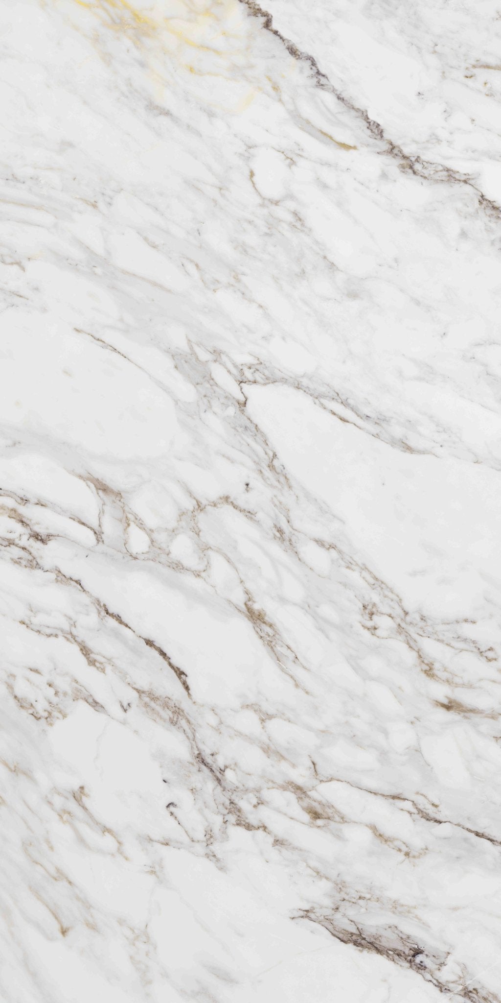 Carrelage FLORENCE l.160 X L.320 X 1.2 cm MAT LIMCARO - LIMCARO FRANCE