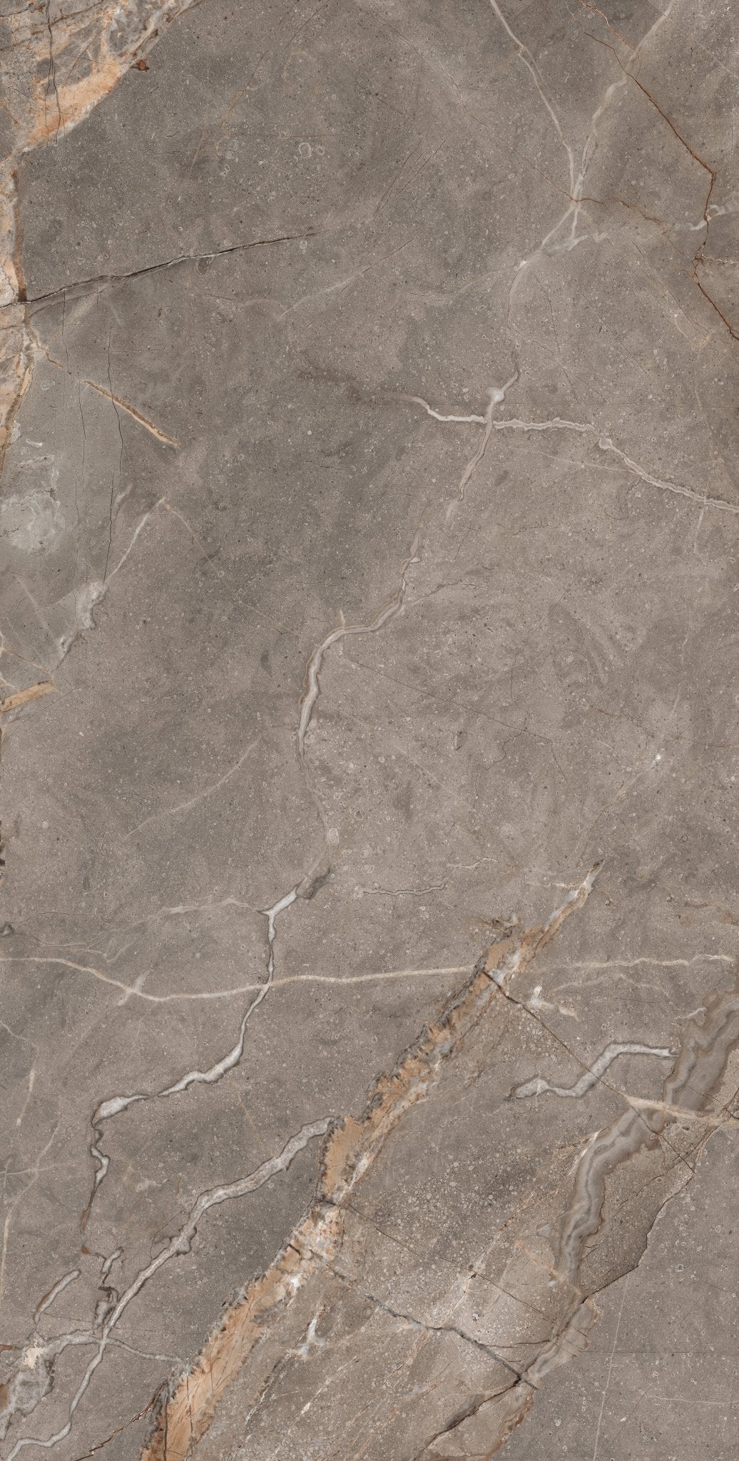 Carrelage sol / mur effet marbre MADRAN MINK l.60 x L.120 cm Mat LIMCARO - LIMCARO FRANCE