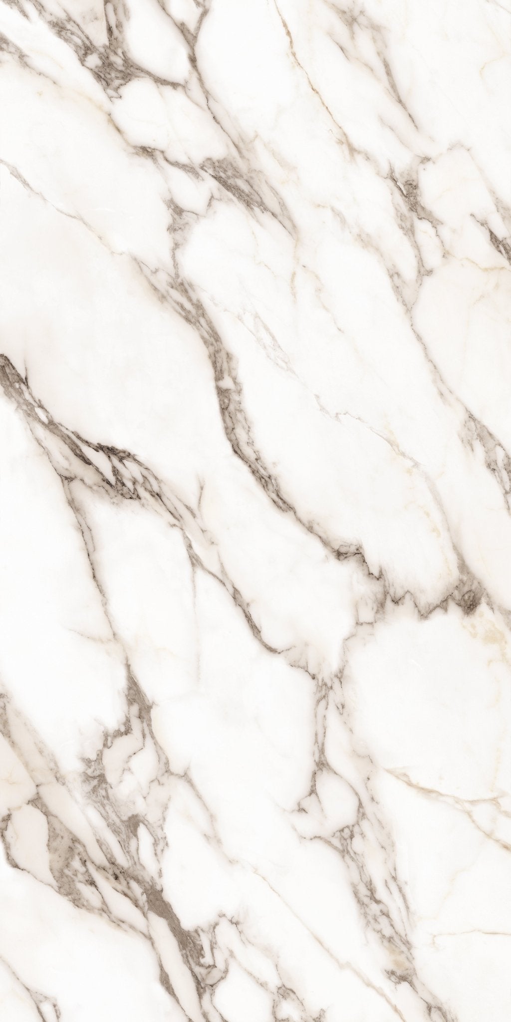 Carrelage sol / mur effet marbre OBRANO l.60X L.120 cm GLOSSY LIMCARO - LIMCARO FRANCE