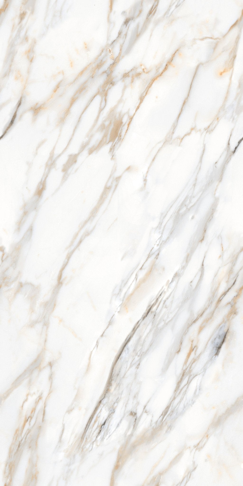 Carrelage sol / mur effet ZEBRINO GOLD l.60X L.120 cm Glossy LIMCARO - LIMCARO FRANCE