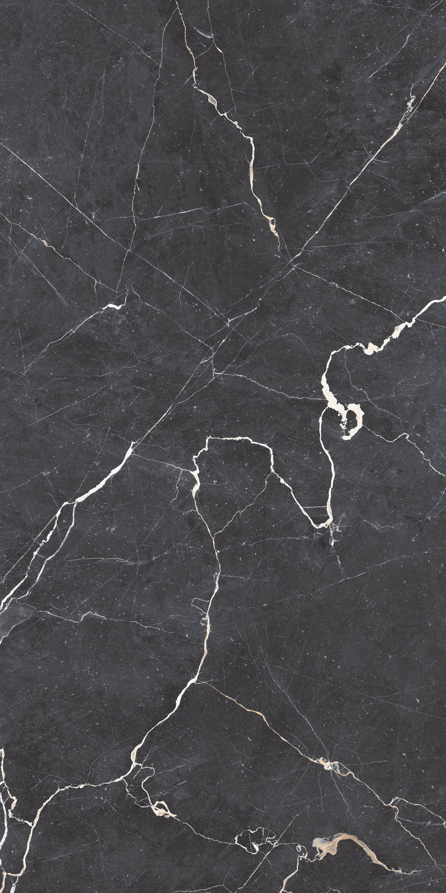 Carrelage sol / mur effet marbre DRAPE NERO  l.60 x L.120 cm Mat LIMCARO